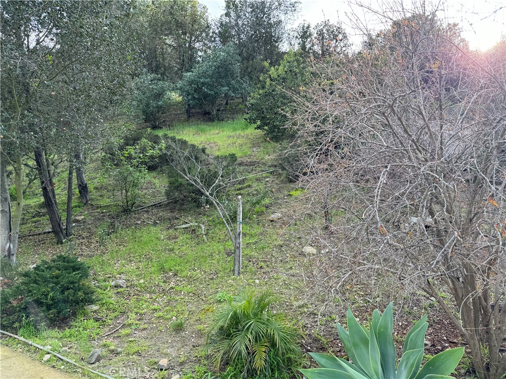 2485 Jupiter Property Photo 6