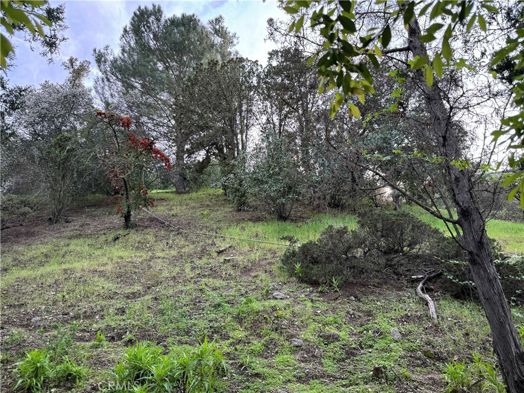 2485 Jupiter Property Photo 7