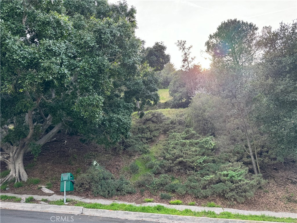 2485 Jupiter Property Photo 8