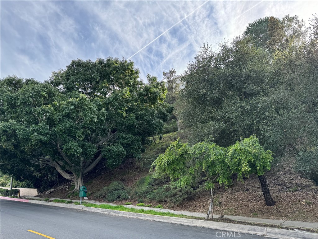 2485 Jupiter Property Photo 10