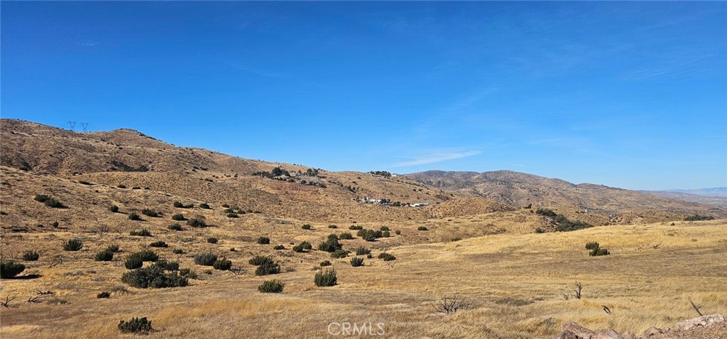 0 Richter Lane Property Photo 3