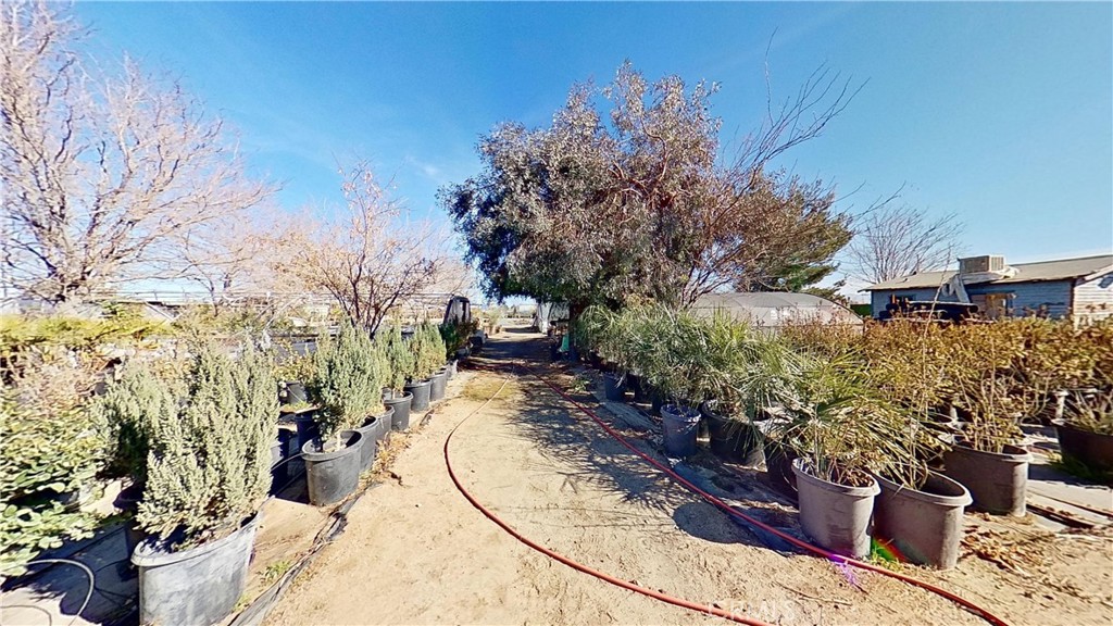 42607 Sierra Property Photo 19
