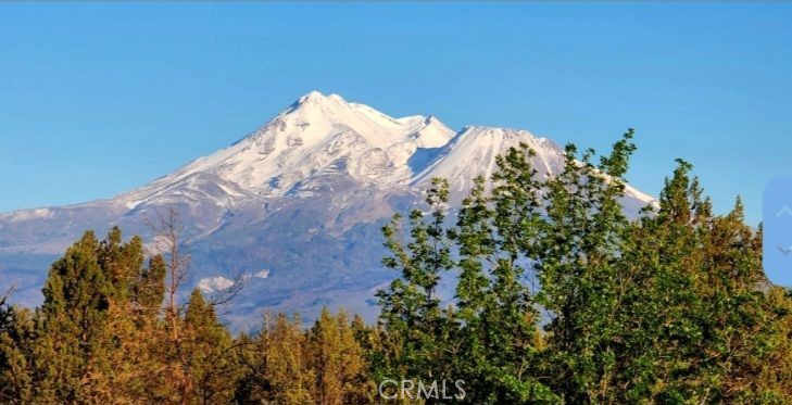 Montague Real Estate Listings Main Image