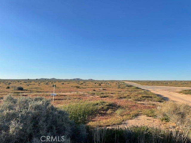0 Palmetto Road Property Photo 1