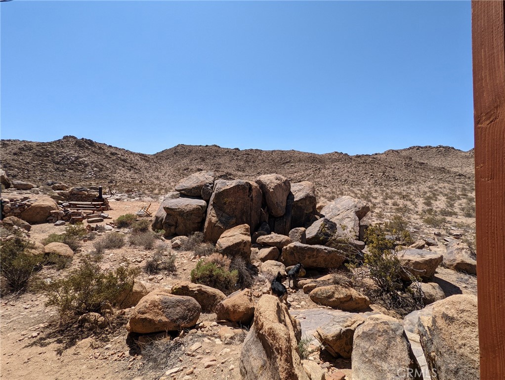 25220 Cottonwood Road Property Photo 3