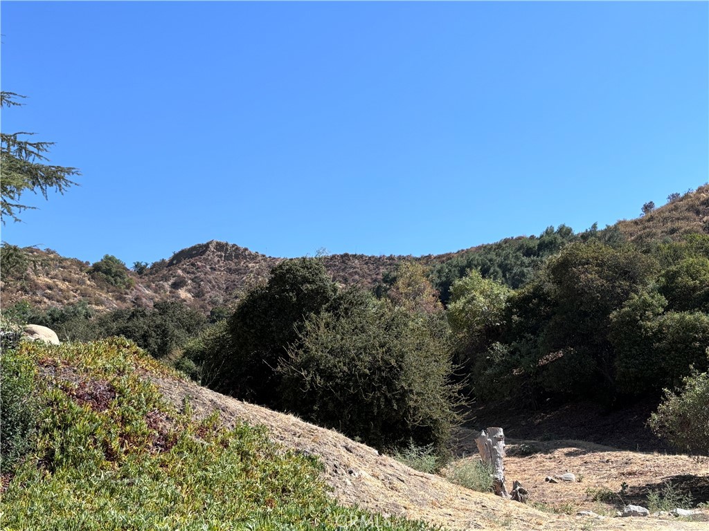 11500 Mount Gleason Property Photo