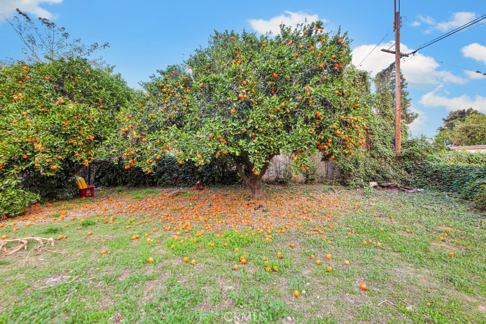 17520 Kingsbury Street Property Photo 48