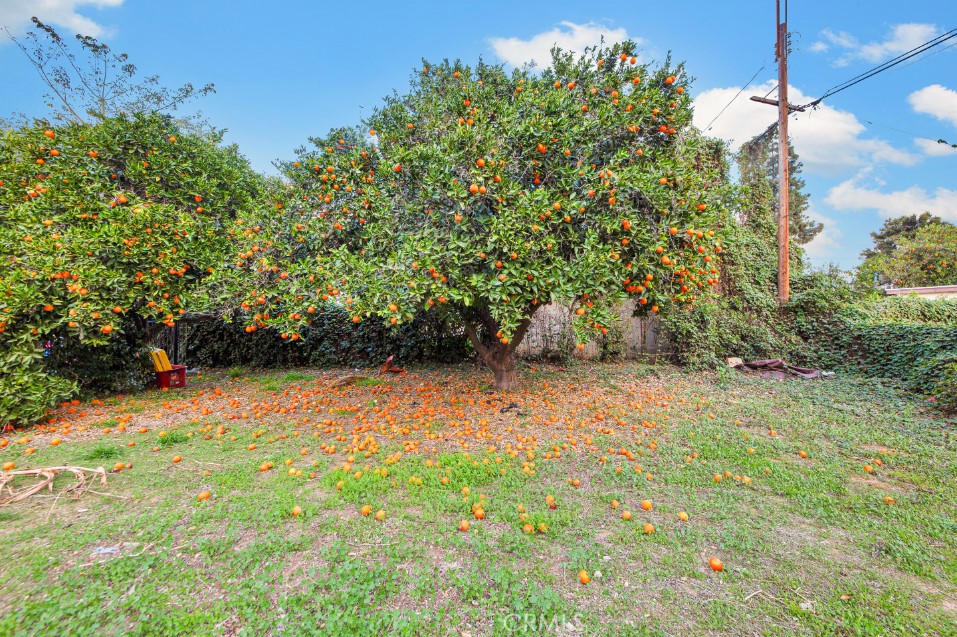 17520 Kingsbury Street Property Photo 48