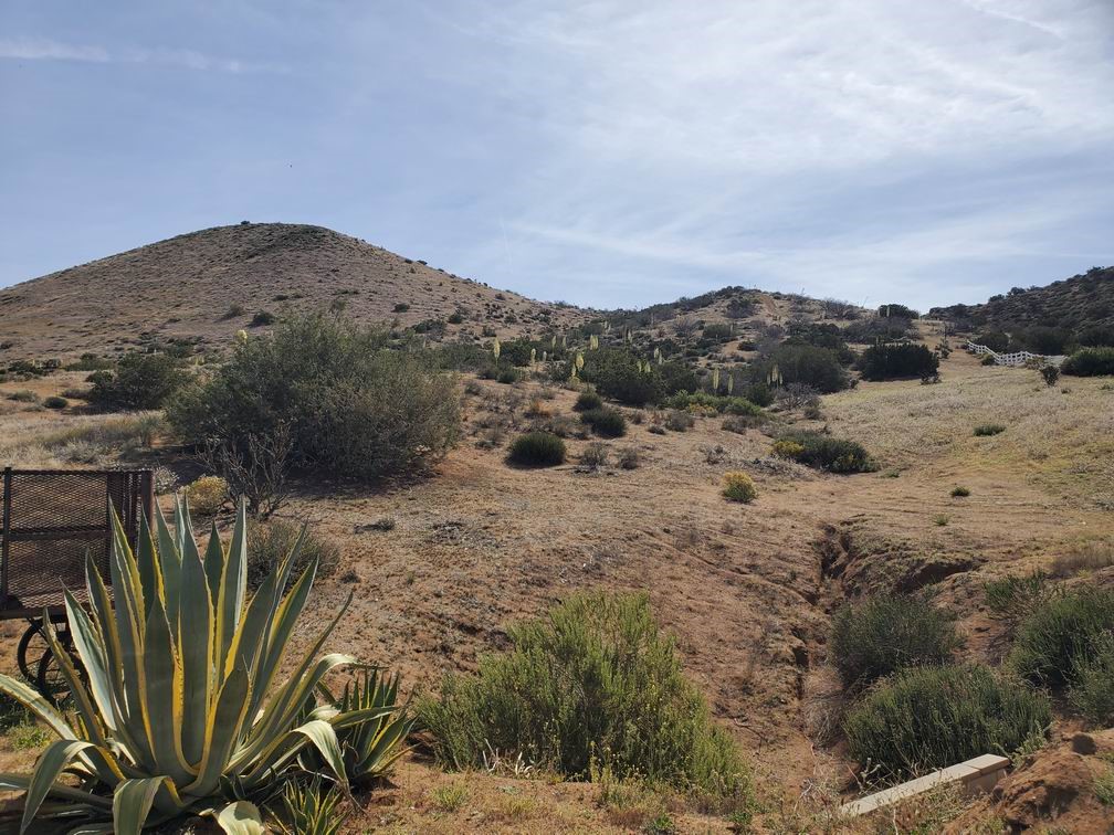 0 White Feather Road Property Photo