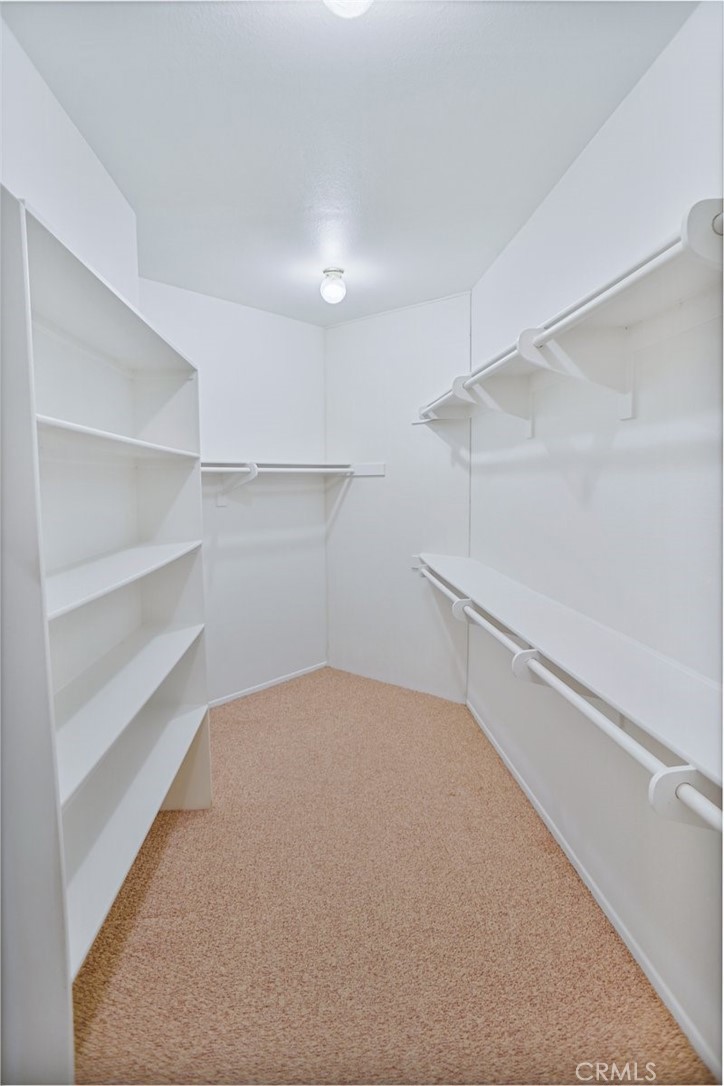 12320 Backdrop Court Property Photo 12