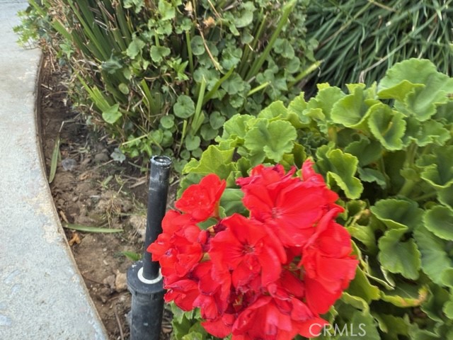 20930 Parthenia Street 216 Property Photo 28