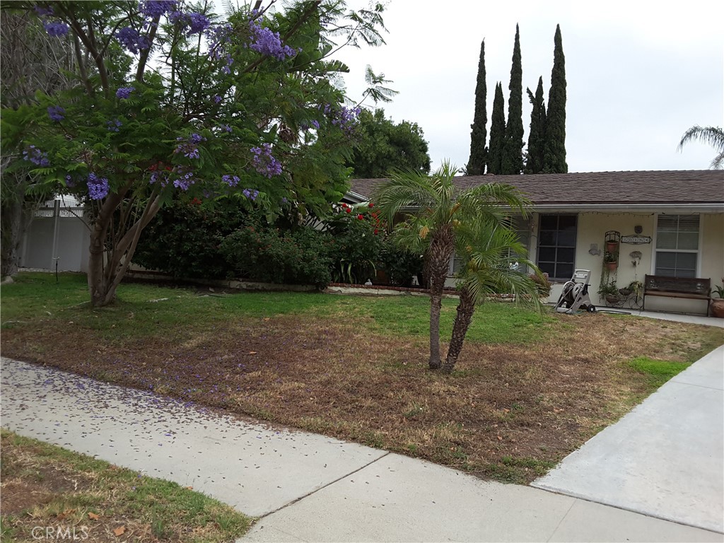 10164 Oso Property Photo