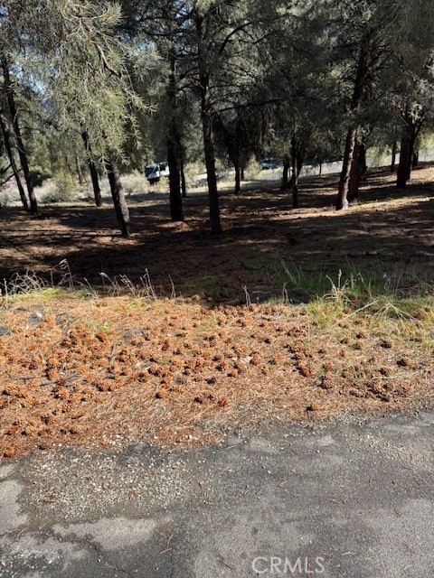1329 Jay Court Property Photo 1