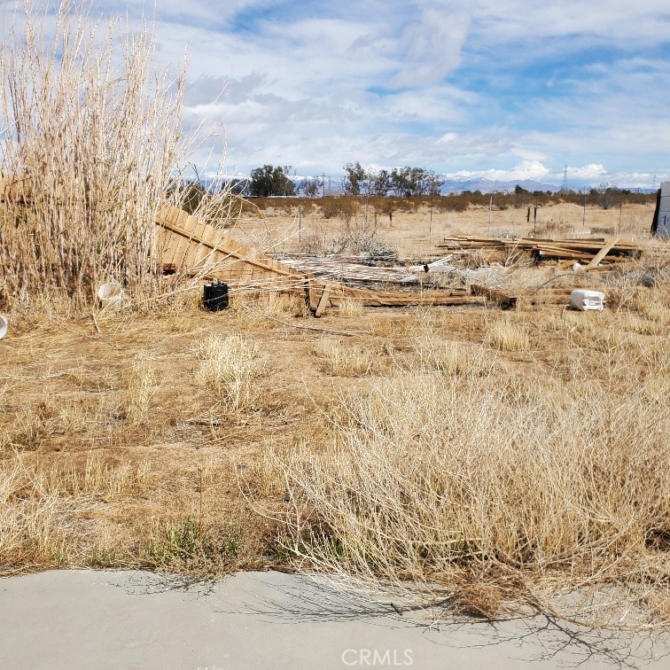 1010 N Oriole Street Property Photo 4