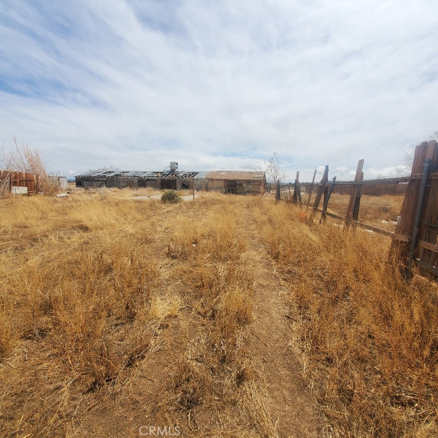 1010 N Oriole Street Property Photo 14