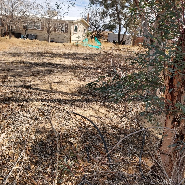 1010 N Oriole Street Property Photo 23