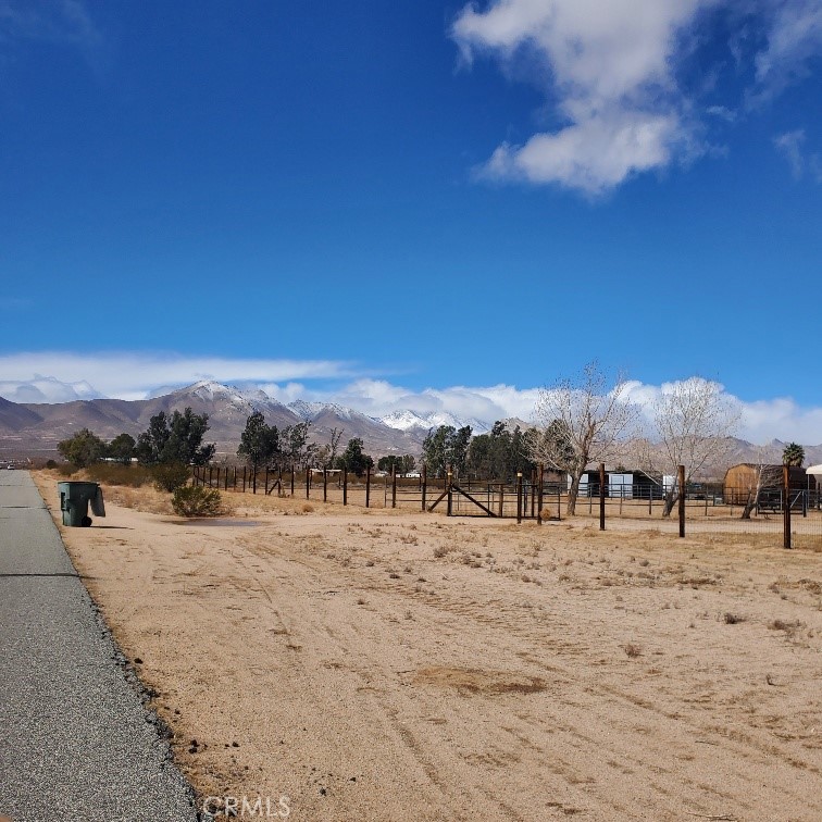 1010 N Oriole Street Property Photo 24