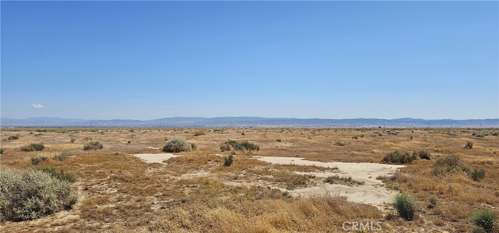 263 Williams Street Property Photo