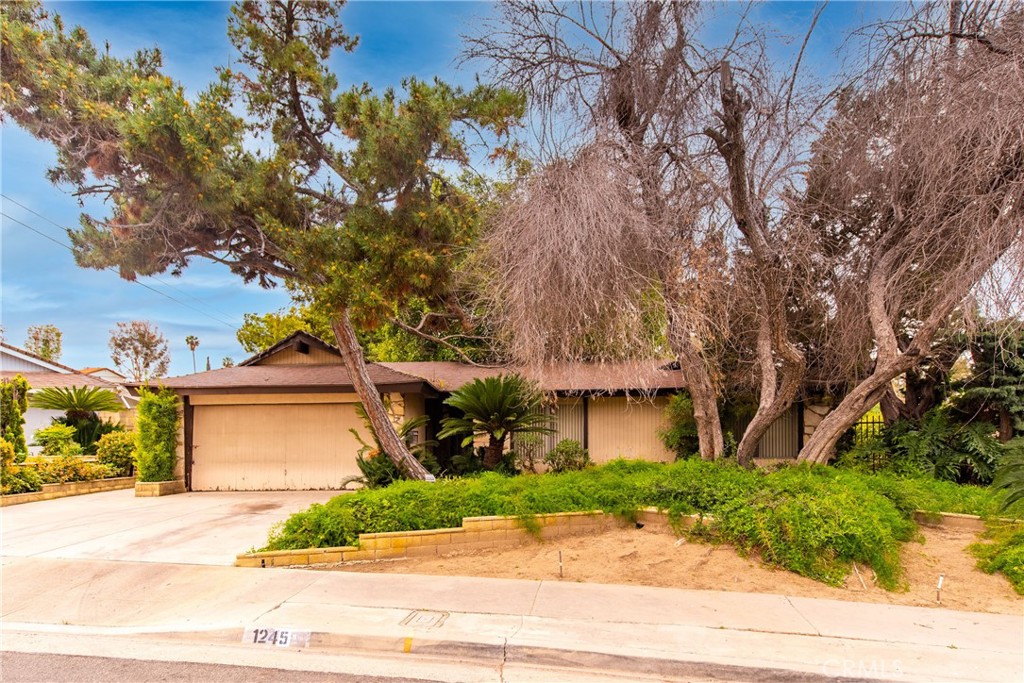 1245 Ahtena Drive Property Photo