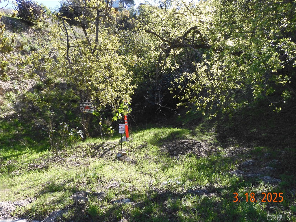 3742 Knobhill Drive Property Photo