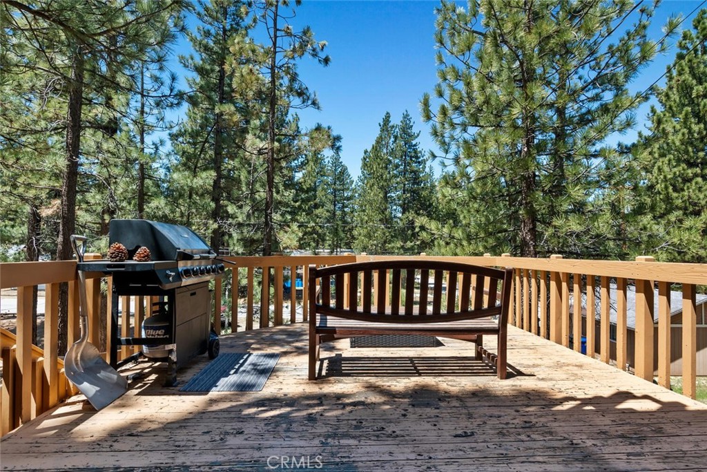 202 Pineview Drive Property Photo 16