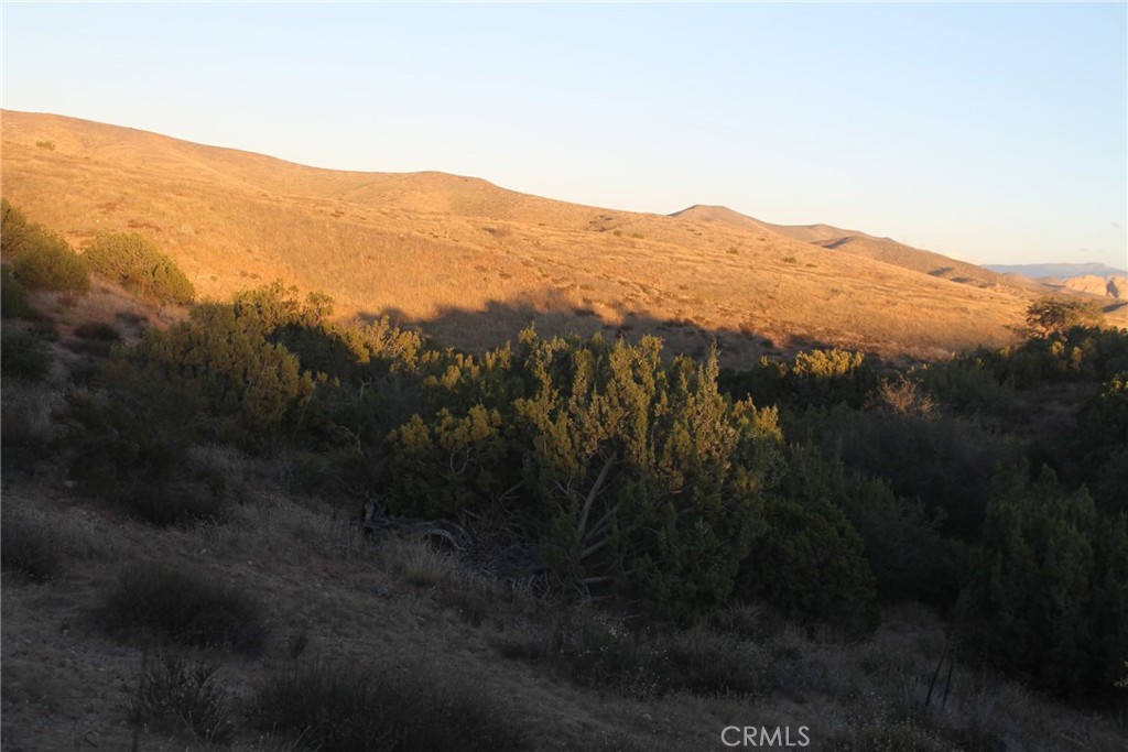 Agua Dulce Real Estate Listings Main Image