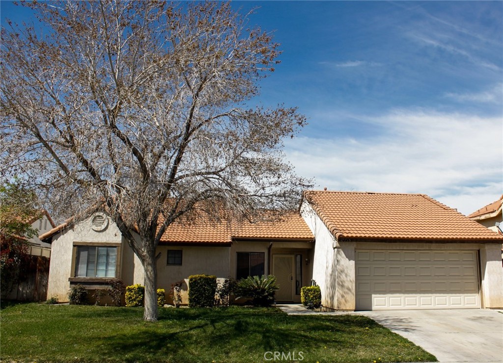 37735 Tackstem Street Property Photo
