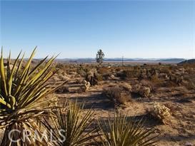 Joshua Tree Real Estate Listings Main Image
