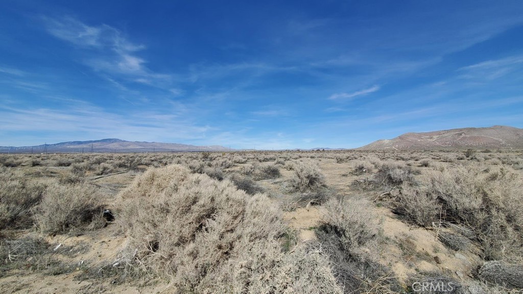 0 Rosamond Blvd & 94th St West Property Photo 6