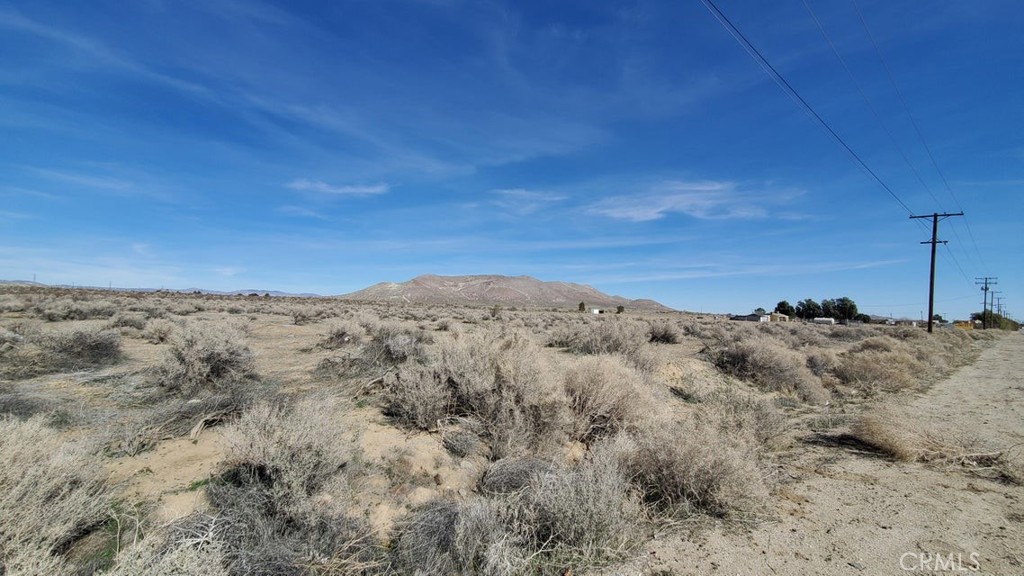 0 Rosamond Blvd & 94th St West Property Photo 7