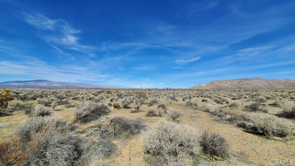 0 Rosamond Blvd & 94th St West Property Photo 10