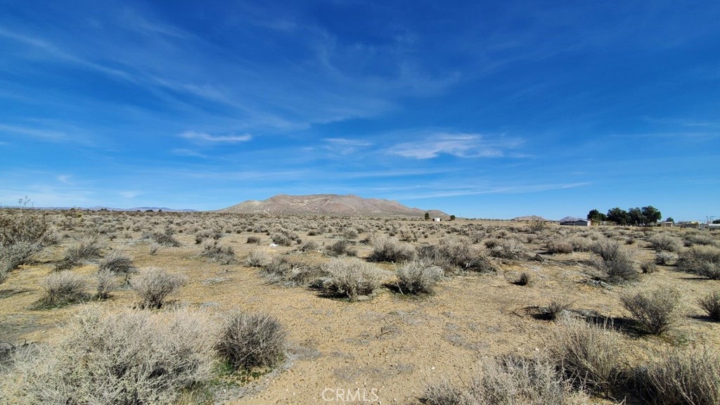 0 Rosamond Blvd & 94th St West Property Photo 11