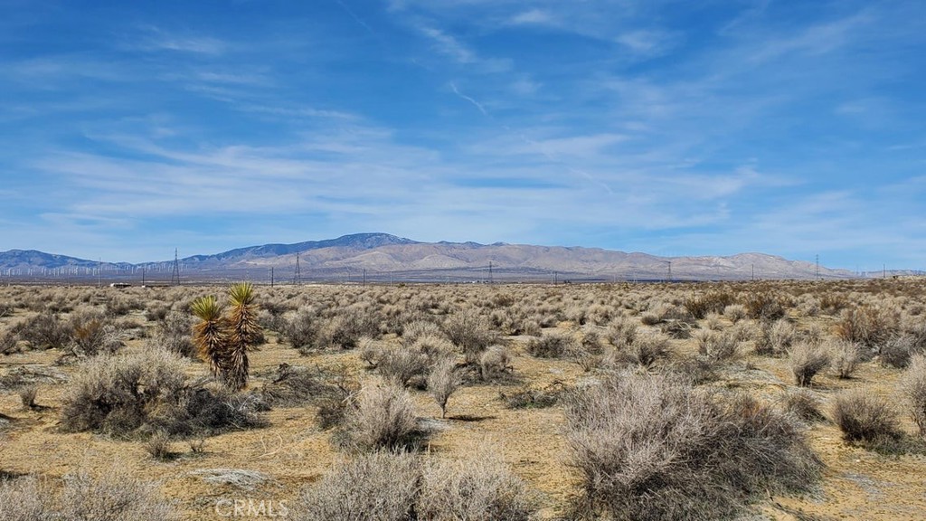 0 Rosamond Blvd & 94th St West Property Photo 18