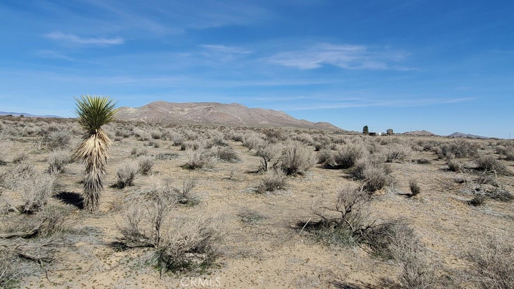 0 Rosamond Blvd & 94th St West Property Photo 19
