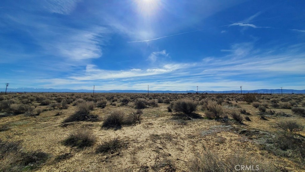 0 Rosamond Blvd & 94th St West Property Photo 20