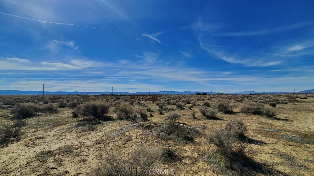 0 Rosamond Blvd & 94th St West Property Photo 21