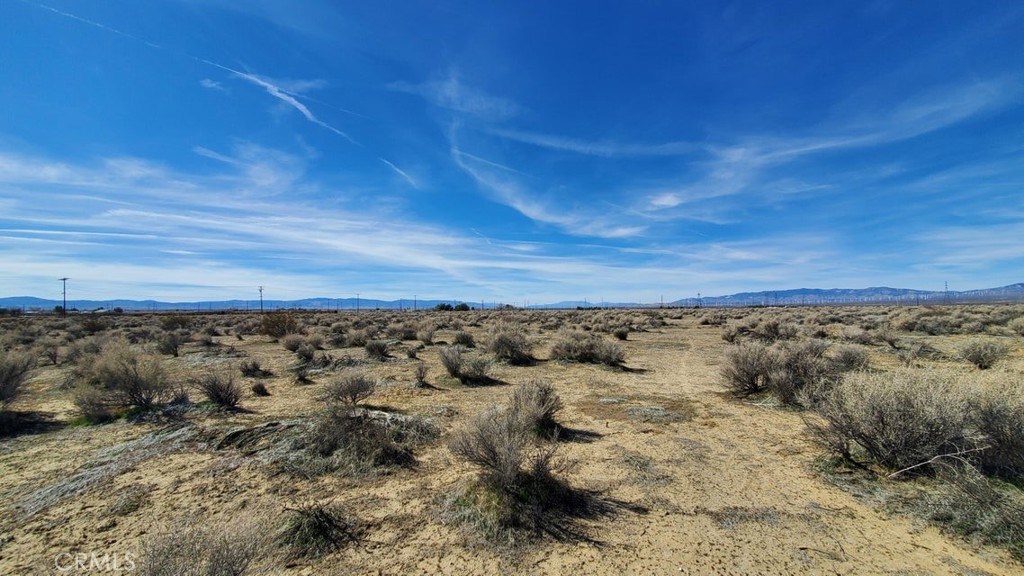 0 Rosamond Blvd & 94th St West Property Photo 22