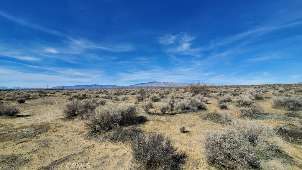 0 Rosamond Blvd & 94th St West Property Photo 24