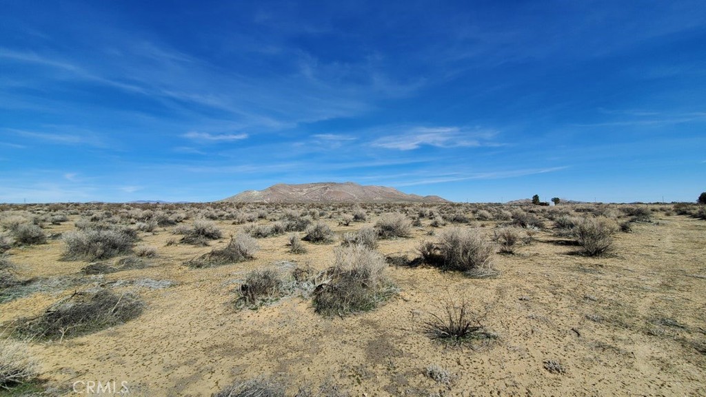 0 Rosamond Blvd & 94th St West Property Photo 27