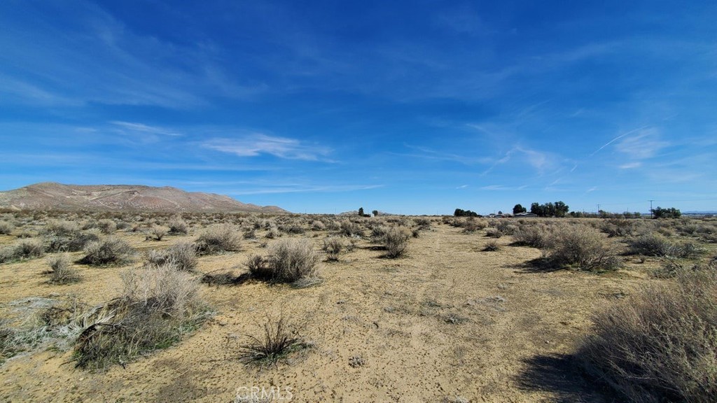 0 Rosamond Blvd & 94th St West Property Photo 28