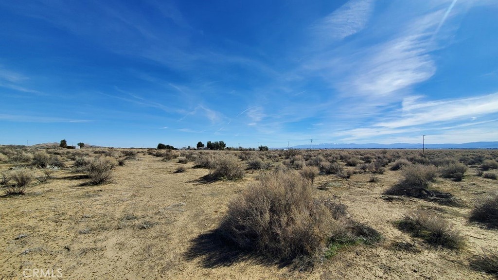 0 Rosamond Blvd & 94th St West Property Photo 29