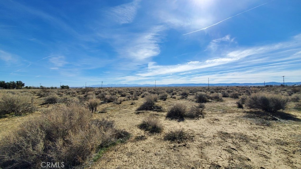 0 Rosamond Blvd & 94th St West Property Photo 30