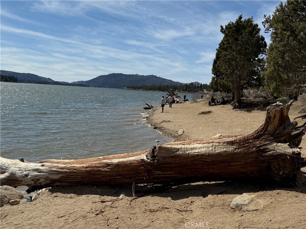 42413 Bear Property Photo 73
