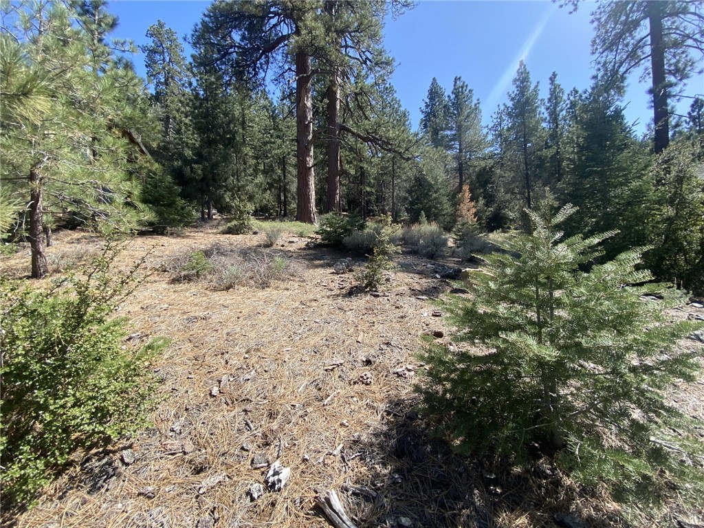 15028 Chestnut Court Property Photo 1