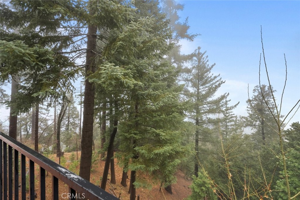 24848 Matterhorn Court Property Photo 43