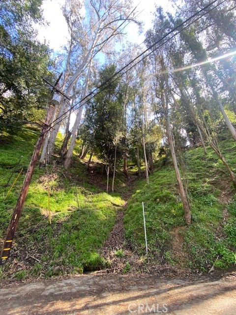 6210 Westover Drive Property Photo