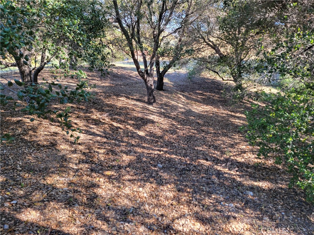 28343 Foothill Drive Property Photo 1