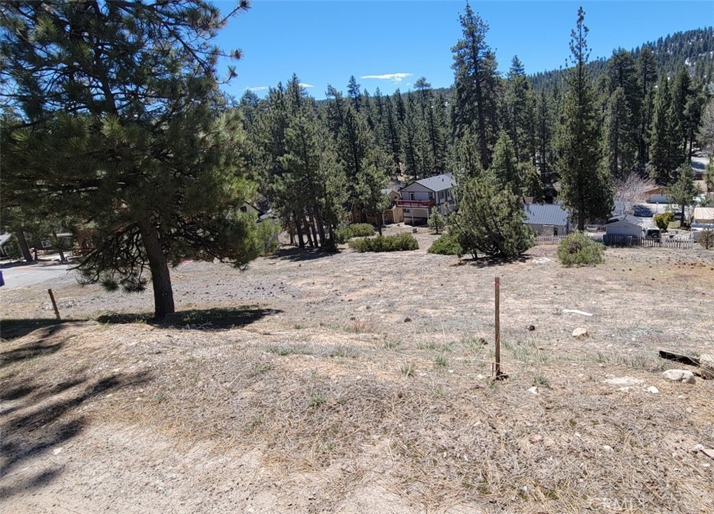 39243 Crest Lane Property Photo 2
