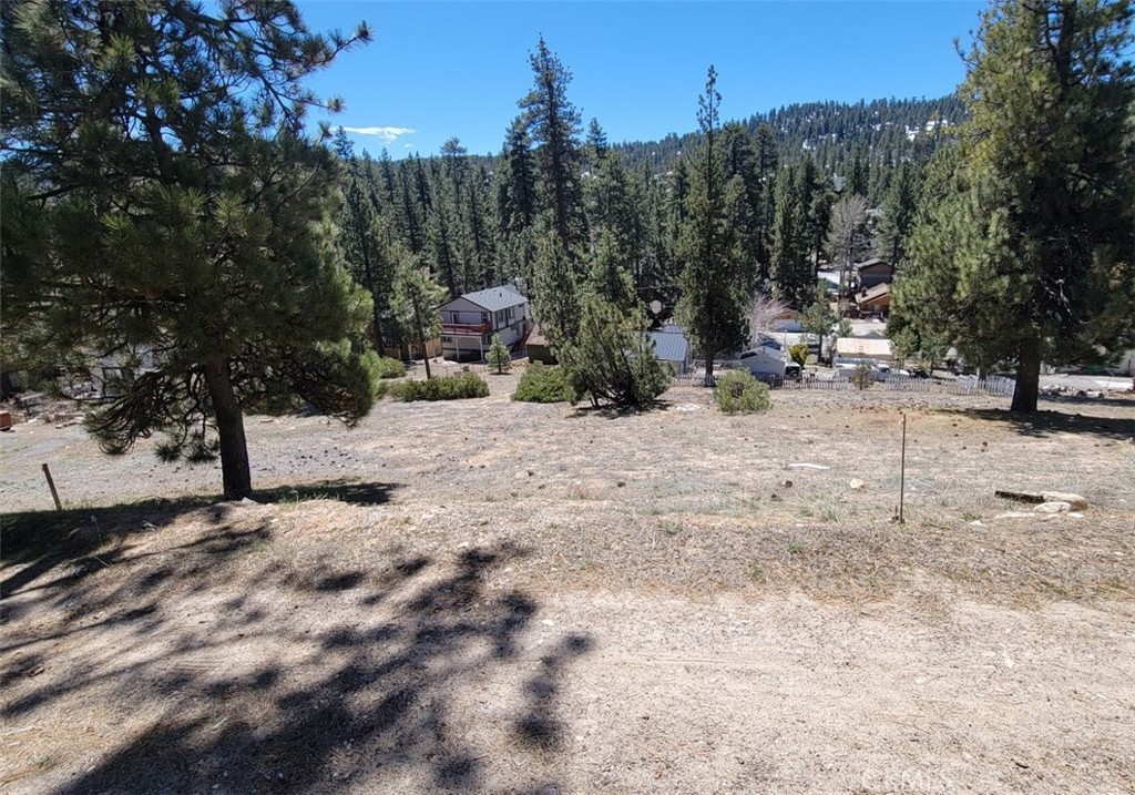 39243 Crest Lane Property Photo 3
