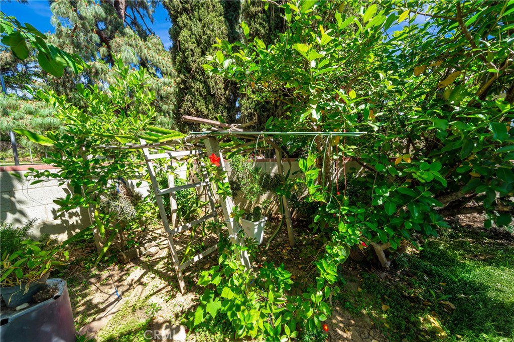 7035 Jon Allan Drive Property Photo 34